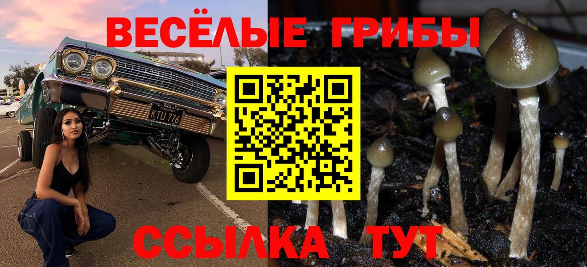 Псилоцибиновые грибы прущие грибы  Галлюциногенные грибы MAGIC MUSHROOMS  Коломна  хочу наркоту  Вход с VPN 