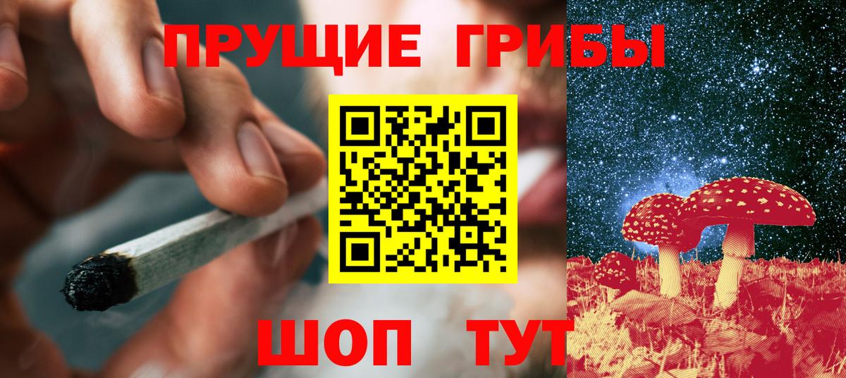 Псилоцибиновые грибы мицелий Коломна